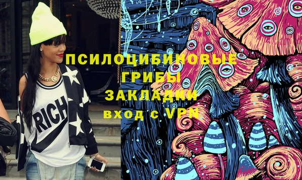 прущие крисы Алексин