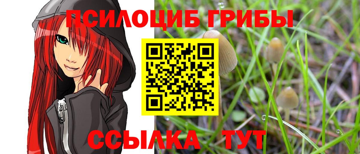 Псилоцибиновые грибы GOLDEN TEACHER Старая Купавна