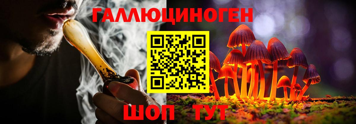 Старая Купавна  Псилоцибиновые грибы Cubensis  Вход с VPN 